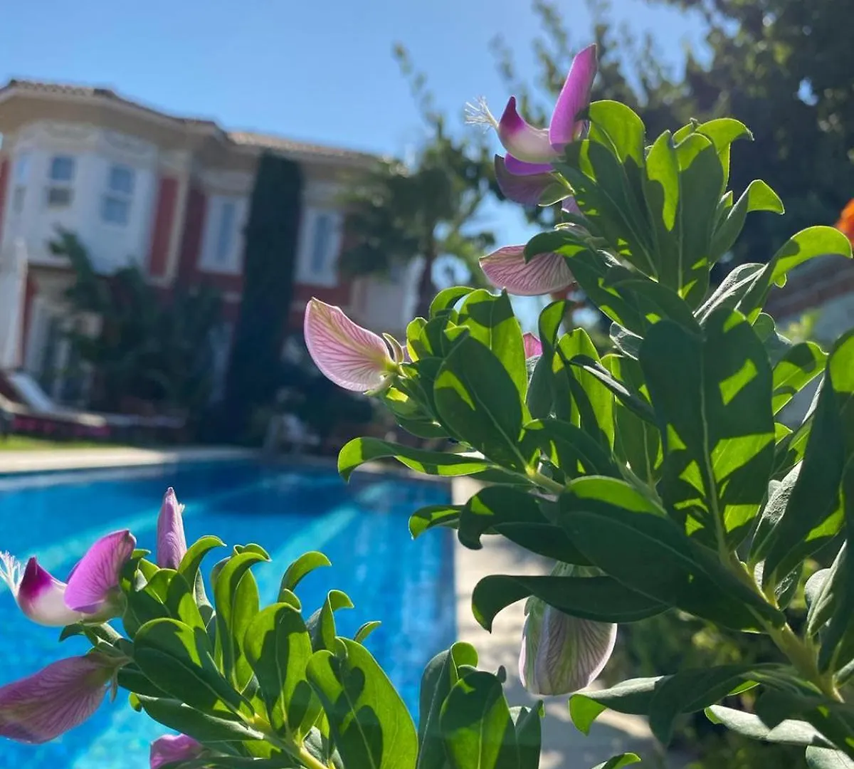 Hotel On Oda Alaçatı